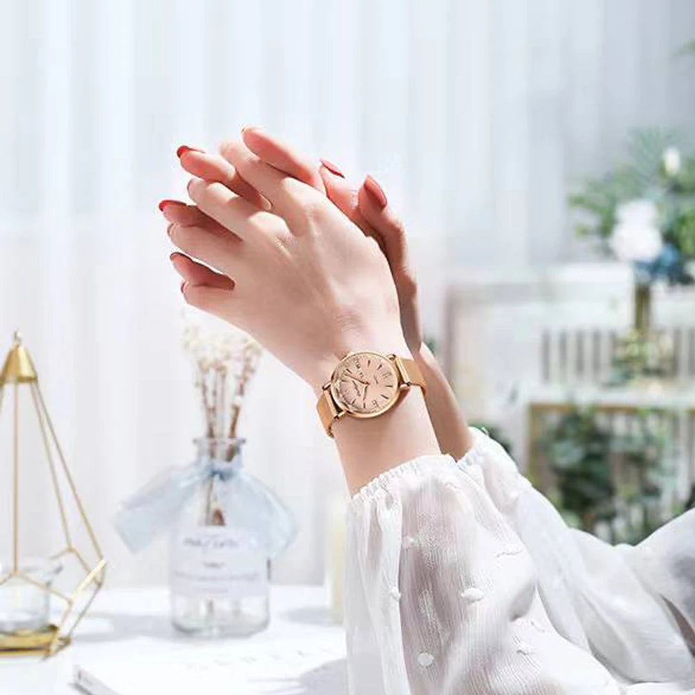 Poedagar's Elegance Mesh Watch